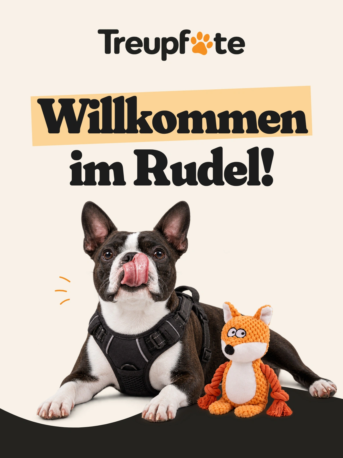 Treupfote: Willkommens-Mail, ganze Mail